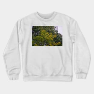 Fall comes to town Crewneck Sweatshirt